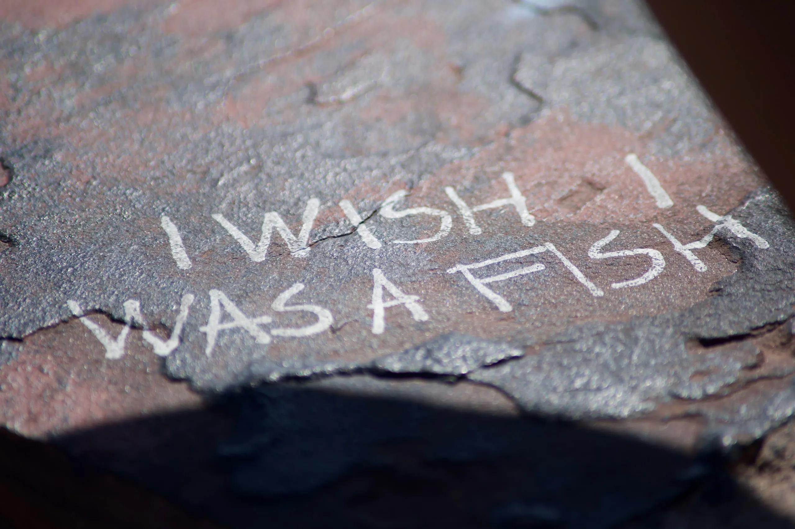 The words "I wish I was a fish" scratched into a slab of stone